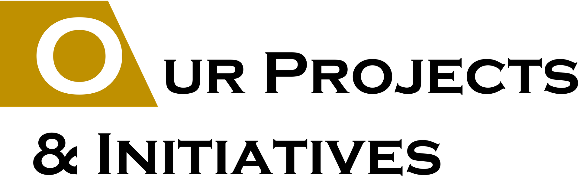 our-projects&amp;initiatives